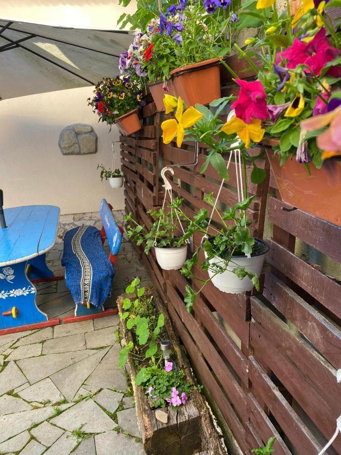 Silvasu de Jos Casa Cezara 아파트 외부 사진