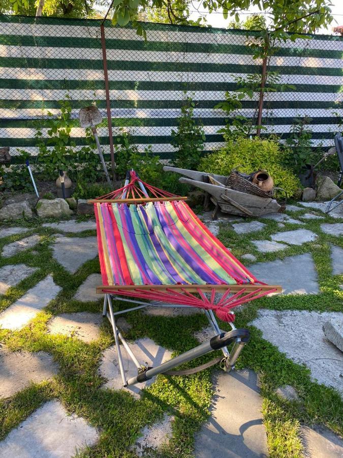 Silvasu de Jos Casa Cezara 아파트 외부 사진