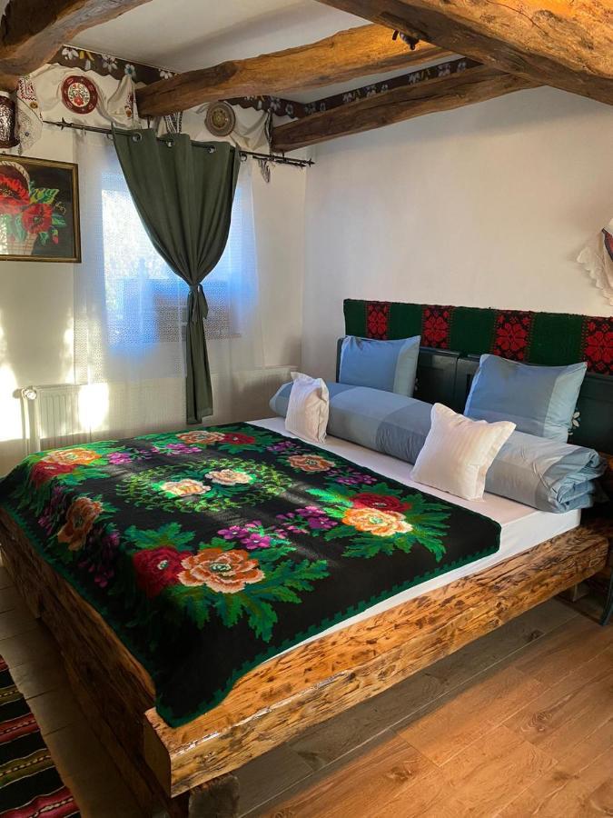 Silvasu de Jos Casa Cezara 아파트 외부 사진