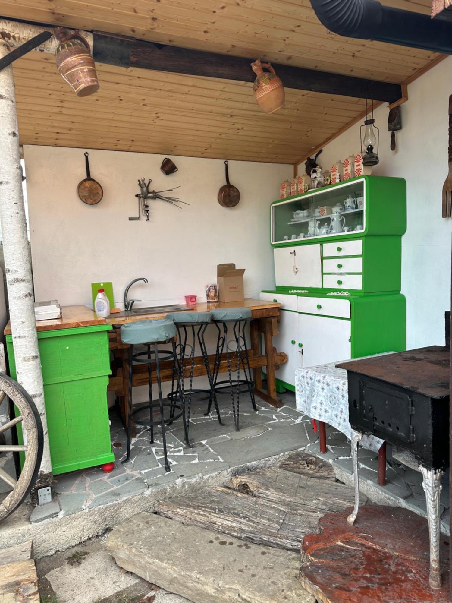 Silvasu de Jos Casa Cezara 아파트 외부 사진