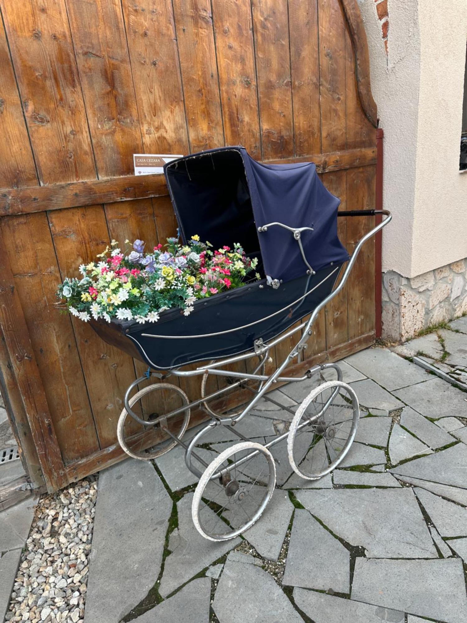 Silvasu de Jos Casa Cezara 아파트 외부 사진