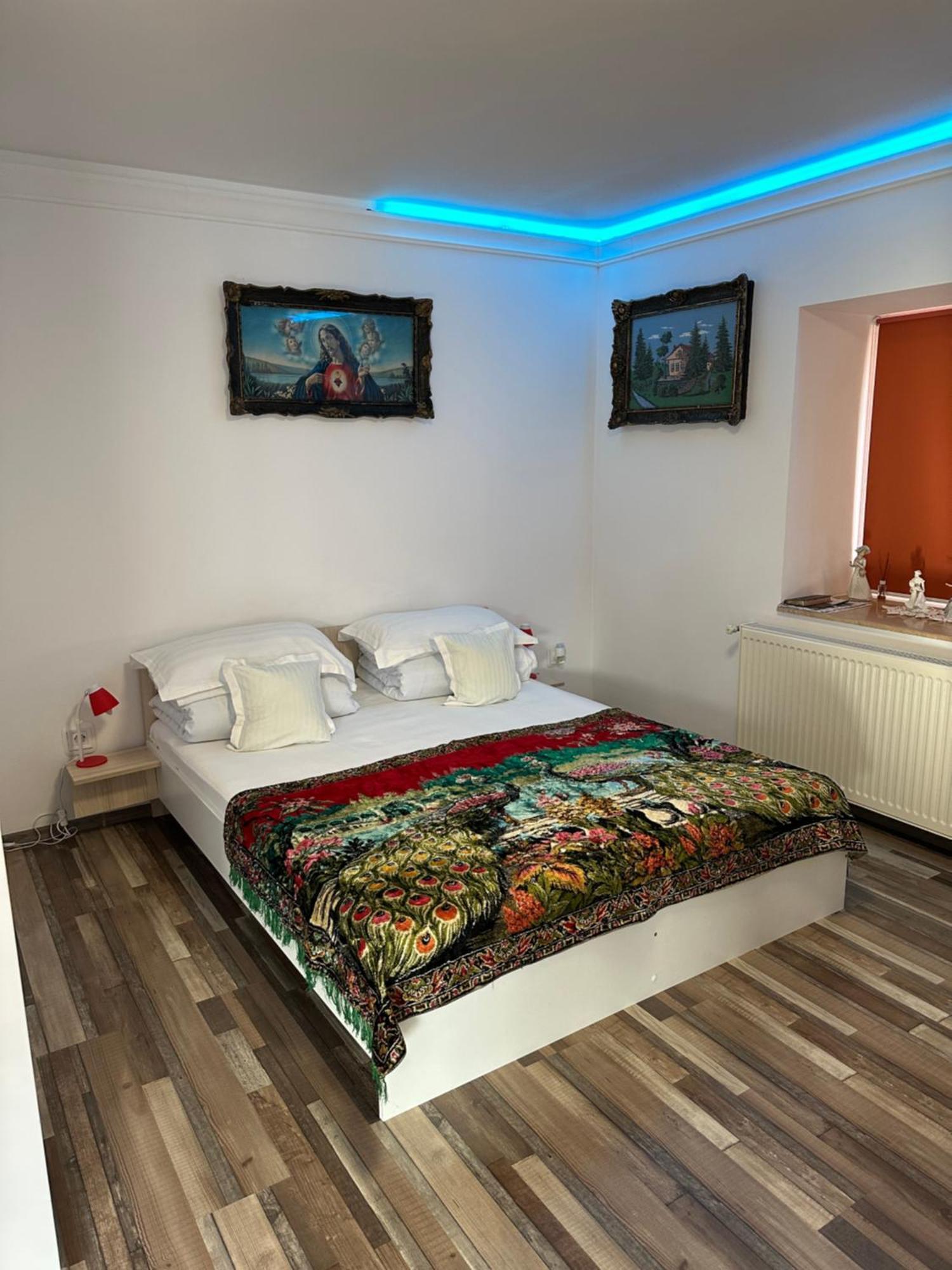 Silvasu de Jos Casa Cezara 아파트 외부 사진