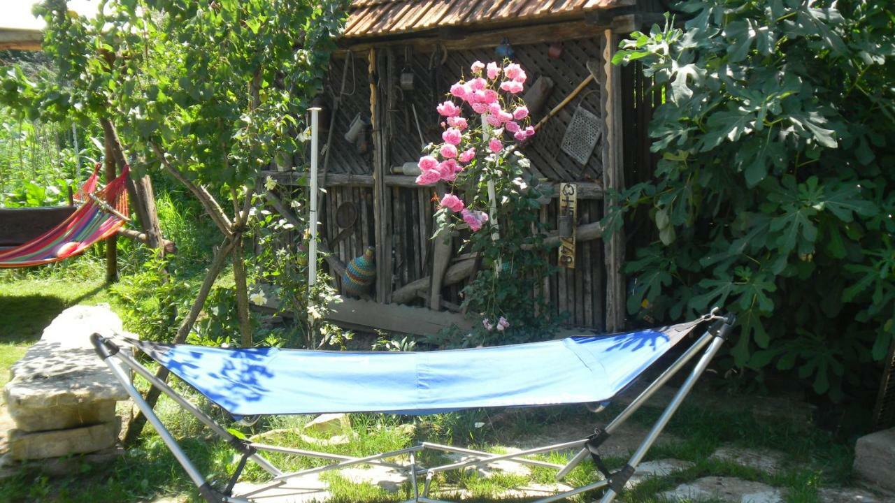 Silvasu de Jos Casa Cezara 아파트 외부 사진